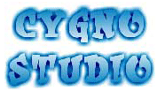 Cygno Studio - создание сайтов
