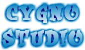 Cygno Studio - создание сайтов